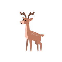 deer illustration