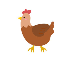 chicken