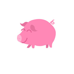 Pig Illustration