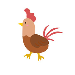 chicken illustration