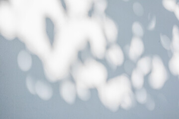 Abstract natural tree leaves shadow on white wall background