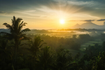 Obraz premium photo sunrise over bali jungle
