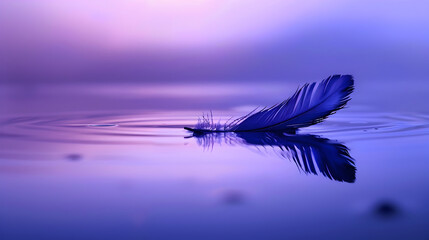 A feather is floating on the surface of a body of water. The water is a deep blue color, and the feather is the only object visible in the image