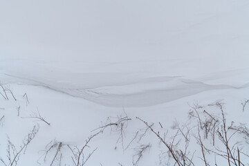 雪に覆われた小川と枯れた植物が作る造形が綺麗な北国の冬の風景
