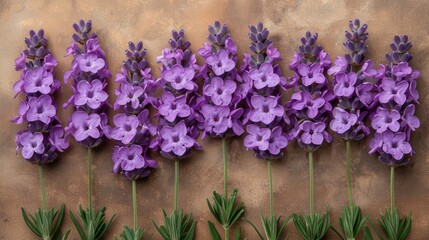   A cluster of purple blooms rests atop a tawny wall, framed by a backdrop of gray