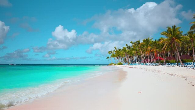 Coconut palms on a Dominican beach on a tropical idyllic paradise island. Seascape for a dreamy and inspiring summer holiday. Beach nature concept. Sunny open tourism. Turquoise waves on white sand.