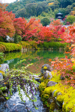 京都　永観堂の紅葉　放生池と多宝塔