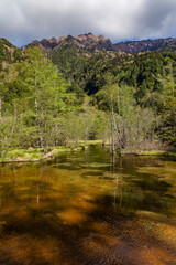 Brown pond surrounded by lush forest in front of steep, high mountain peaks (Kamikochi, Japan)