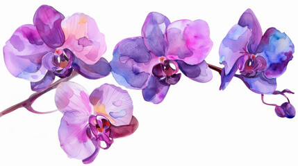 Fototapeta na wymiar A painting of purple flowers with a white background. The flowers are arranged in a line, with the leftmost flower being the largest and the rightmost flower being the smallest