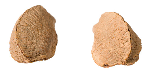 In-sell Brazil nut isolated on the white background. - 774629904