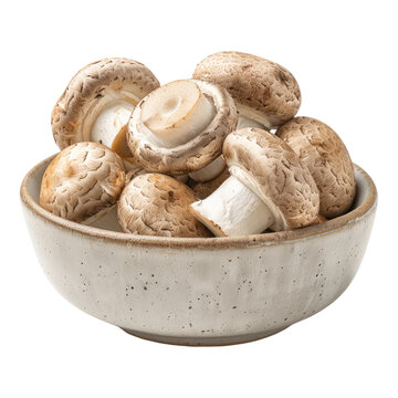 Fresh champignon mushroom in a bowl isolated on transparent background