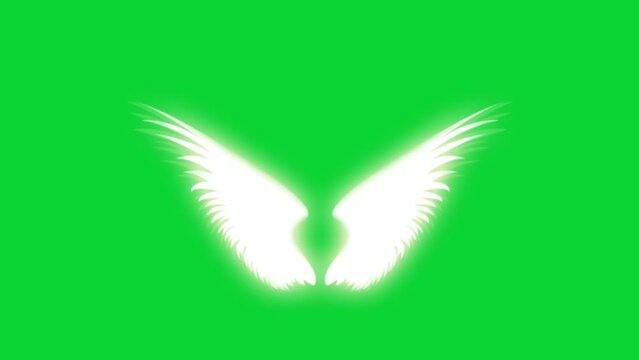Real Angel wings icons, 3D Animation flying wings Video Green Screen, Element Stock Overlay 4k Animation Stickers, Realistic wings running with loop animation chroma key, Green Screen Background