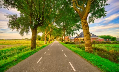 Foto auf Leinwand Honor guard of trees alongside a country road in The Netherlands. © Alex de Haas
