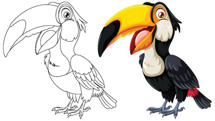 Obraz premium Vector illustration of a toucan in color and outline