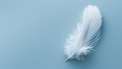 Naklejka premium White feather on blue background. Flat lay, top view, copy space