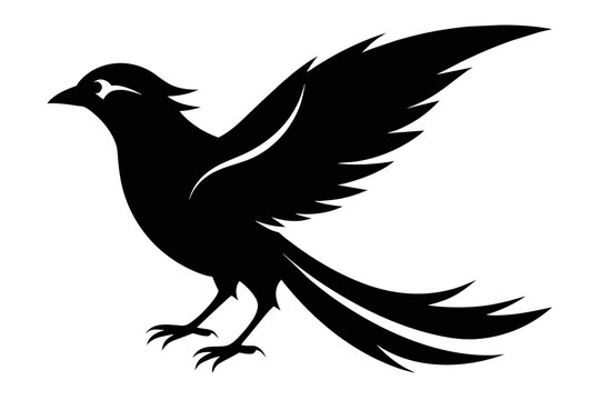 ilhouette image,mac bird,vector illustration,white background