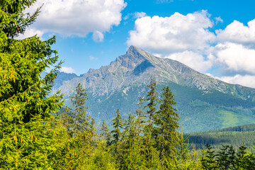 A sunny day view of Krivan, capturing its rugged peak against a blue sky with white clouds, surrounded by lush greenery. High Tatras, Slovakia - 774641900