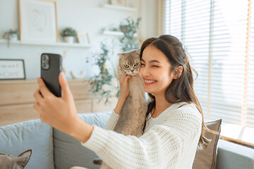 Smiling young asian woman taking selfie with Scottish fold cat on couch at home, Adorable domestic...