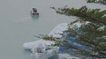 Tourist Boat Sailing by Iceberg with Wind-Swept Tree Branches