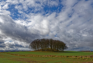 A circular copse of trees on a Tumulus set amongst the farmland on the edge of the Strathmore...