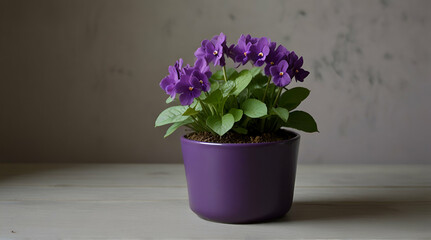 Naklejka na ściany i meble purple pot with green plants. generative.ai