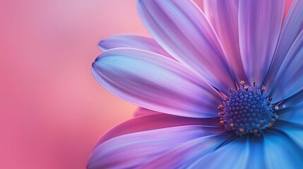 Obraz premium On background, a flower in close-up, spectacularly adorable. A natural greeting, it's a wonderful natural wonder.