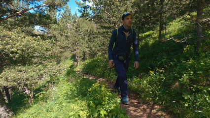 Obraz premium Hiker with backpack and trekking pole on a sunlit trail through dense, green woodland, equipped for an adventurous journey.