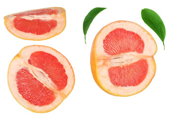  Grapefruit slices isolated on a white background, flat lay, top view
