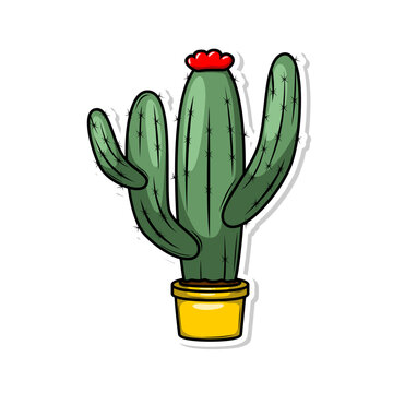 Hand draw cactus plant cartoon flat design



