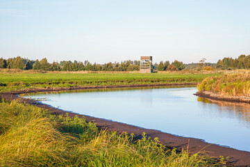 Fototapeta na wymiar Riverbend in a wetland with a bird tower