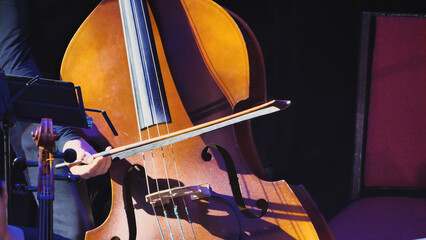 The contrabass stands vertically with its deep brown wooden body, four strings, and characteristic curved silhouette.