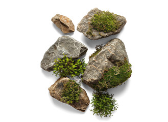Top-View Rocks and Stones with Greenery