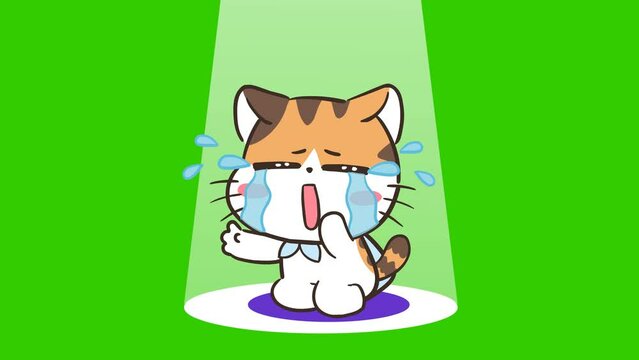 Cry animation, cute cat on green screen