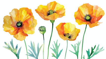 Watercolor flowers yellow poppies.Bright colors