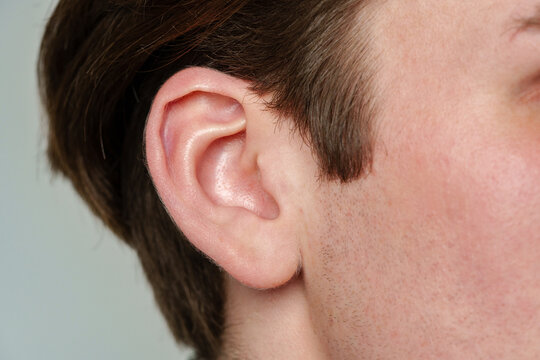 Close Up of a Mans Ear and Nose
