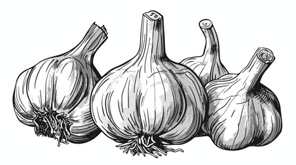 Black and white garlic doodle sketch illustration. flat