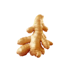 Fototapeten Ginger root cut in half © TheWaterMeloonProjec