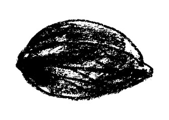 Vector hand-drawn illustration almonds. Black charcoal drawing of almond nut for marzipan paste label design or almond butter packaging. Botanical sketch for ketogenic diet banner.