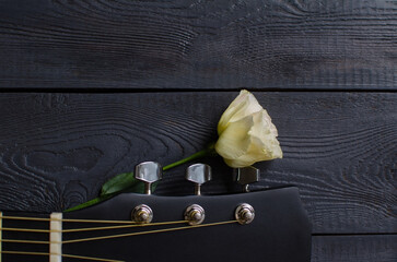 Guitar neck and flower lie on a wooden dark background