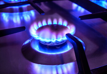 The gas burns in the burner of a kitchen stove
