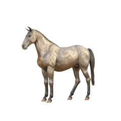 Fototapeta premium A horse standing in transparent bgness