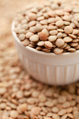 Uncooked brown lentils in bowl. Dry brown lentil grains