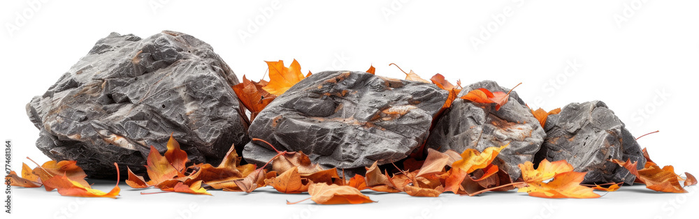 Poster rock stone with autumn leaves, png file of isolated cutout object on transparent background