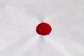 Vivid red drop on a white napkin, its intensity punctuating the pristine canvas with the starkness of a powerful visual statement.
