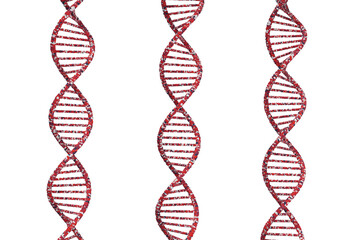 DNAの二重螺旋のイメージ - obrazy, fototapety, plakaty