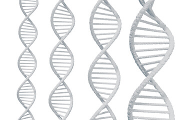 DNAの二重螺旋のイメージ