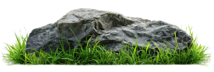 Rock Stone in Green Grass, png file of isolated cutout object on transparent background