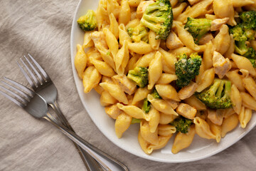 Homemade Cheesy Chicken And Broccoli Pasta on a Plate, top view.