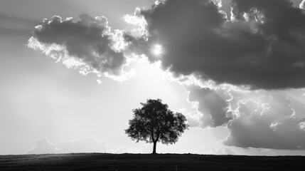 paysage minimaliste avec un arbre, vecteur, arrière-plan. Beautiful simple AI generated image in 4K, unique. - obrazy, fototapety, plakaty