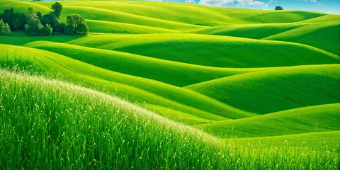 Fotobehang Minimalist photography capturing a sunny summer landscape with lush green vegetation © karandaev